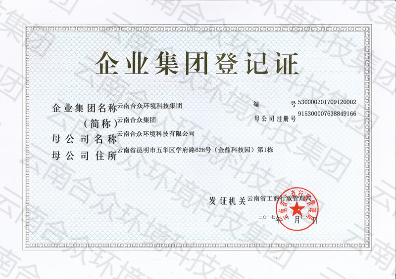 企业集团登记证书