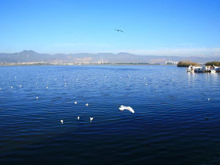 滇池全湖水质状况转为轻度污染 昆明精准施策，系统综合治理见实效