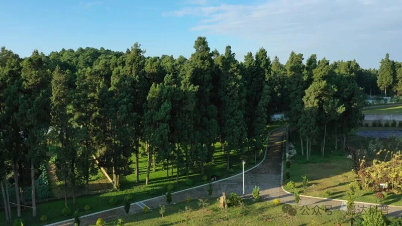 我省加大绿色金融创新助力生态价值转化——精准滴灌 点绿成金